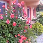Areal Zamma