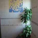 Areal Zamma Рожнява