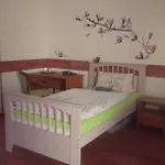 Areal Zamma * Рожнява