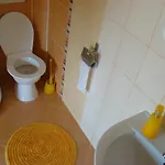 Areal Zamma Рожнява