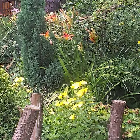 Areal Zamma Gasthof *