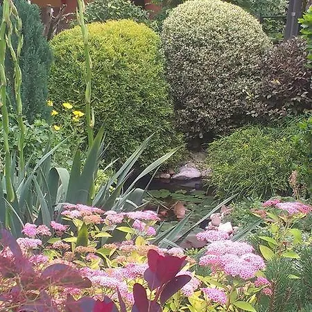 Gasthof Areal Zamma *