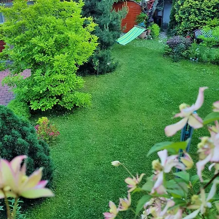 Gasthof Areal Zamma *