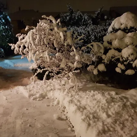 Areal Zamma Gasthof *